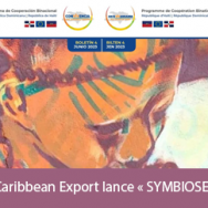 « SYMBIOSIS », une exposition qui fusionne les talents dominicains et haïtiens.